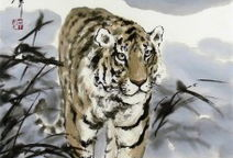 4虎 国产精品,探索中国影视新高度