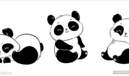 熊猫动漫,萌动时光，欢乐无限